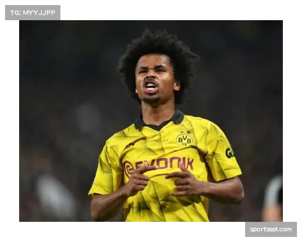 多特蒙德确认阿德耶米腿筋轻微拉伤，将缺席未来两轮联赛